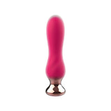 Dop Anal Vibrant ToyJoy Buttocks the Elegant - Fucsia, 13 cm - 3 Viteze, 7 Functii Vibratii controlate prin Telecomanda Wireless - Reincarcabil, Rezistent la Apa IPX7