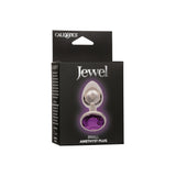 Dop Anal Mic cu Cristal Amethyst CalExotics – Design Metalic Neted, Fara Nichel, Perfect pentru Incepatori
