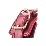 Set zgarda si lesa BDSM rosie, piele artificiala, detalii aurii, ajustabila, Dream Toys Blaze Elite