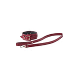 Set zgarda si lesa BDSM rosie, piele artificiala, detalii aurii, ajustabila, Dream Toys Blaze Elite