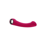 Vibrator Punctul G Evolved Pleasure Curve, Roz, 19 cm, cu sistem de prindere inelat, 10 Moduri Vibratii, Impermeabil